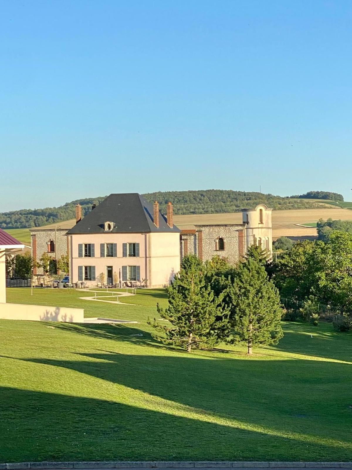 Villa Eulalie - Champagne Edouard Duval B&B Guest House Nestled In The Champagne Area Bligny Bagian luar foto